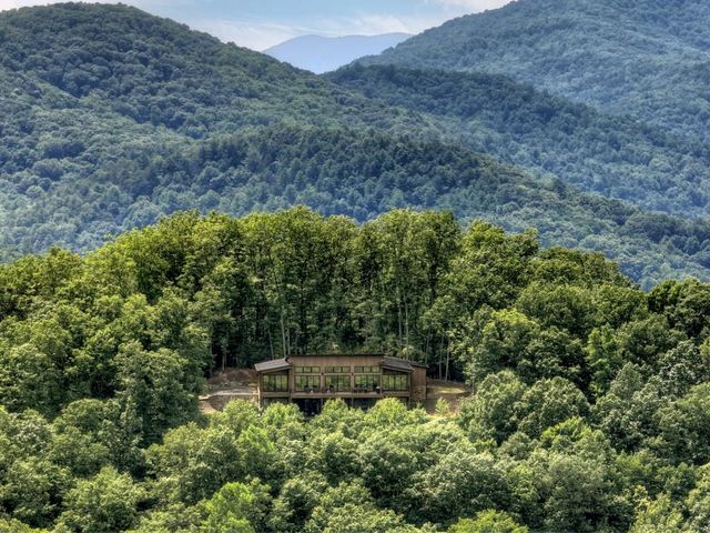 417 Bill Claypool Drive, Blue Ridge, GA 30513