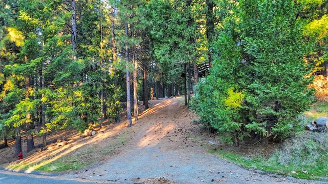 5300 Pine Ridge Dr, Grizzly Flats, CA 95636