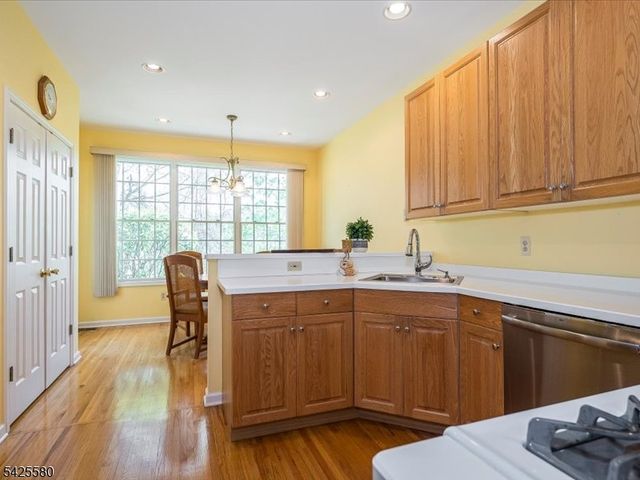 17 Pacio Ct, Roseland Boro, NJ 07068