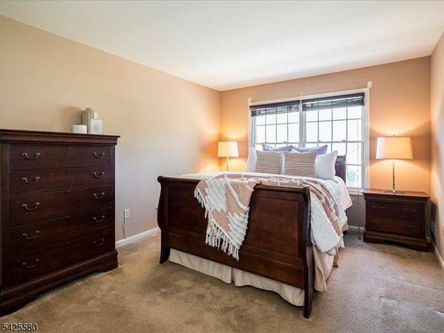 17 Pacio Ct, Roseland Boro, NJ 07068