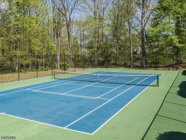 17 Pacio Ct, Roseland Boro, NJ 07068