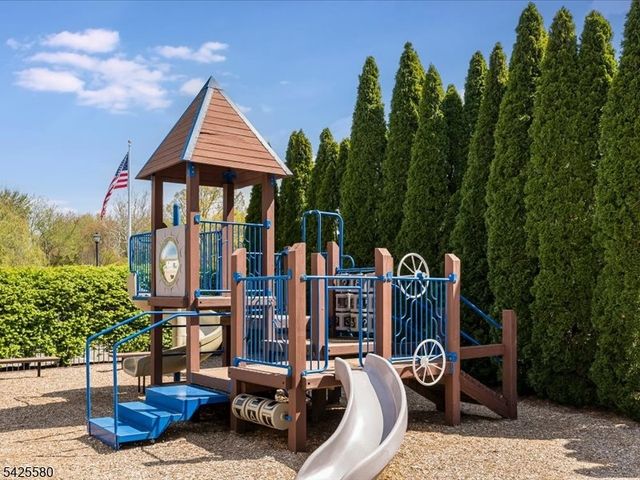 17 Pacio Ct, Roseland Boro, NJ 07068
