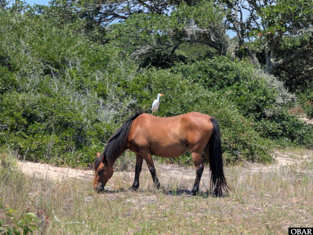 Image 11 of property listing at 1631 Ocean Pearl Road Lot 16, Corolla, NC 27927