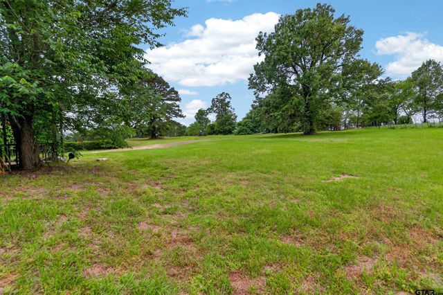 147 County Road 2378, Alba, TX 75410