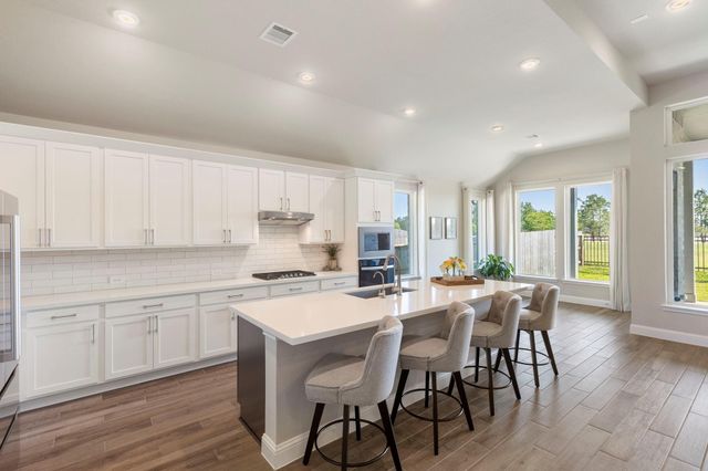 16147 Sapphire Crest Drive, Conroe, TX 77302