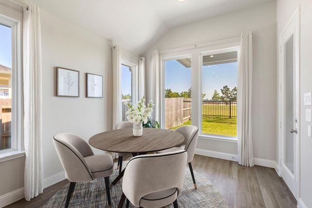 16147 Sapphire Crest Drive, Conroe, TX 77302