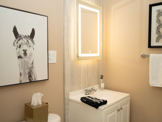 1056 N Mill Street 304, Naperville, IL 60563