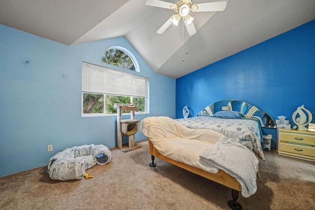 20070 Tellurium Dr, Pine Grove, CA 95665