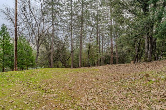 20070 Tellurium Dr, Pine Grove, CA 95665