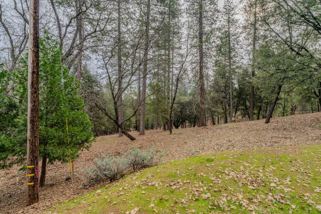 20070 Tellurium Dr, Pine Grove, CA 95665