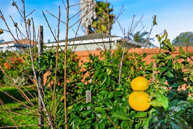 720 Fern St, Escondido, CA 92027