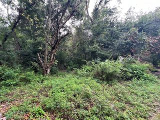 24788 Marks Road, Splendora, TX 77372