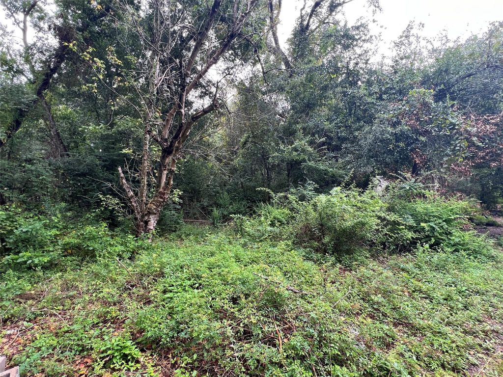 24788 Marks Road, Splendora, TX 77372