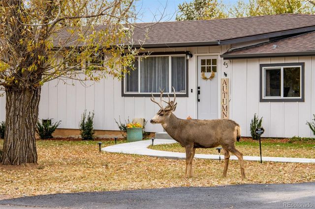 43 S Valley Road, Palmer Lake, CO 80133