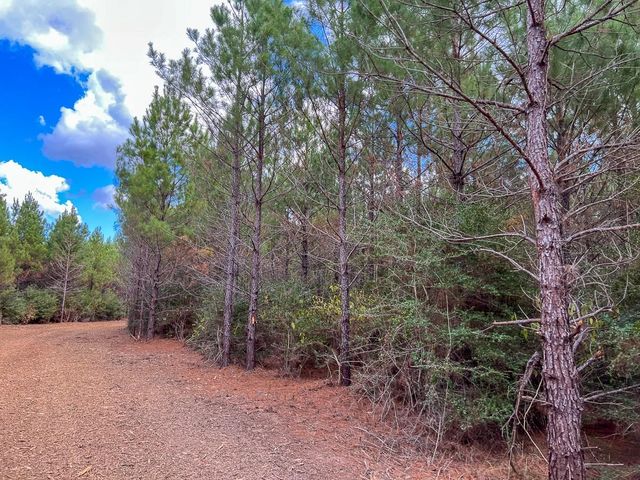 T-1 Fm 247, Huntsville, TX 77340