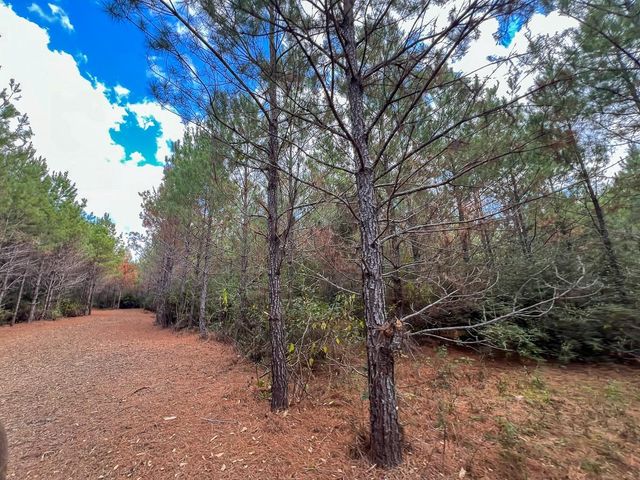 T-1 Fm 247, Huntsville, TX 77340