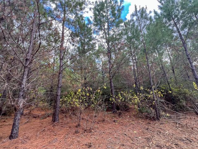 T-1 Fm 247, Huntsville, TX 77340