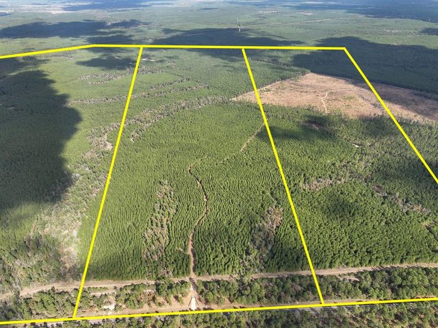 T-1 Fm 247, Huntsville, TX 77340