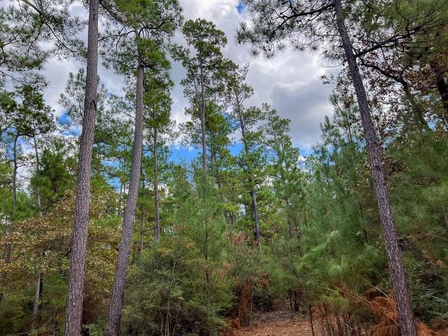 T-1 Fm 247, Huntsville, TX 77340