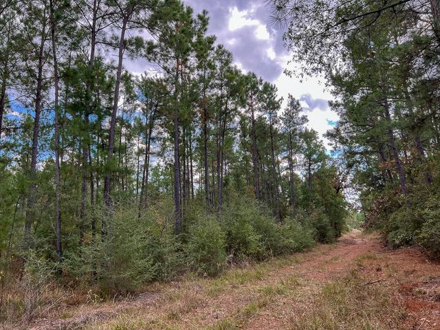 T-1 Fm 247, Huntsville, TX 77340