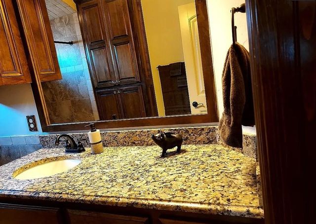 557 W Pine Rose Court Way, Mustang, OK 73064