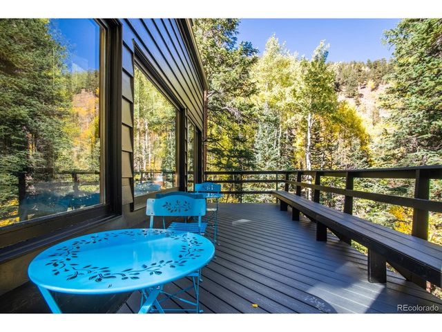 48 Moss Ln, Dumont, CO 80436