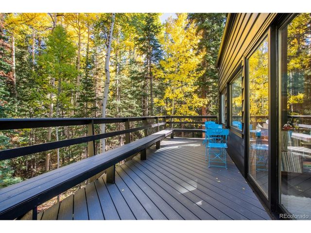48 Moss Ln, Dumont, CO 80436