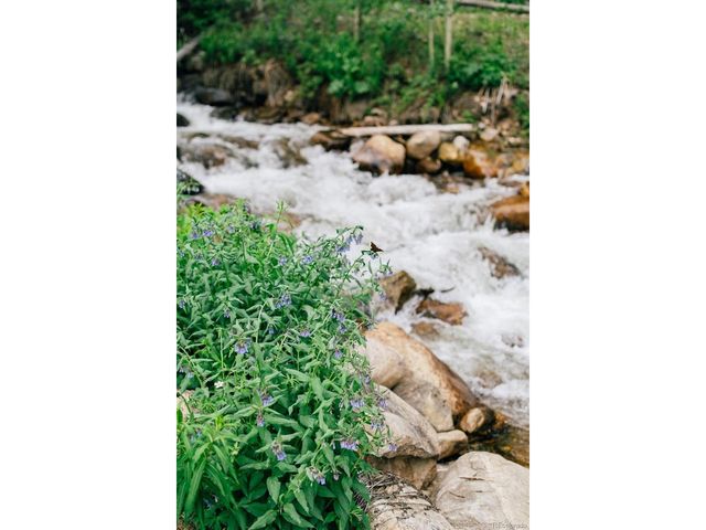48 Moss Ln, Dumont, CO 80436