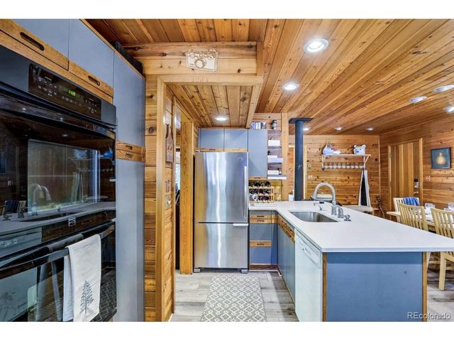 48 Moss Ln, Dumont, CO 80436