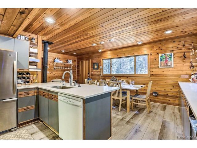 48 Moss Ln, Dumont, CO 80436