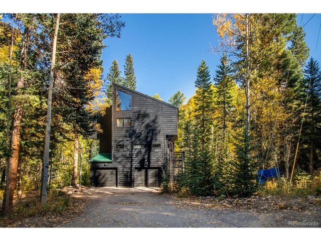 48 Moss Ln, Dumont, CO 80436