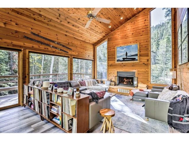 48 Moss Ln, Dumont, CO 80436