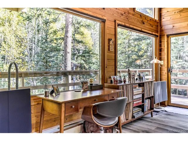 48 Moss Ln, Dumont, CO 80436