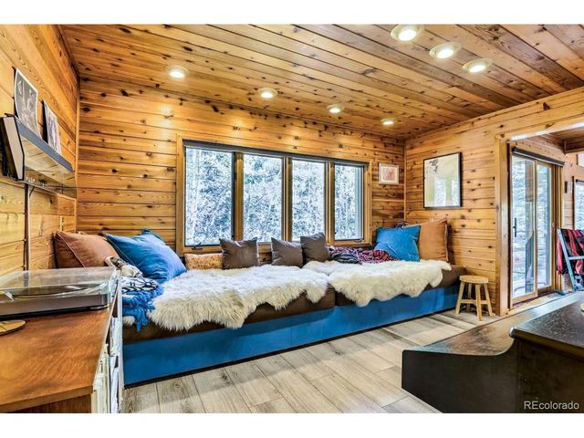 48 Moss Ln, Dumont, CO 80436