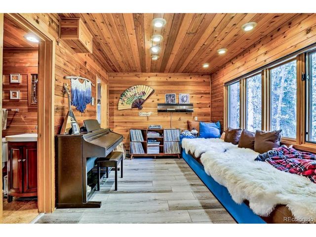 48 Moss Ln, Dumont, CO 80436