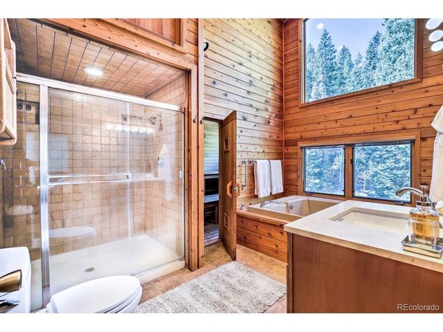 48 Moss Ln, Dumont, CO 80436