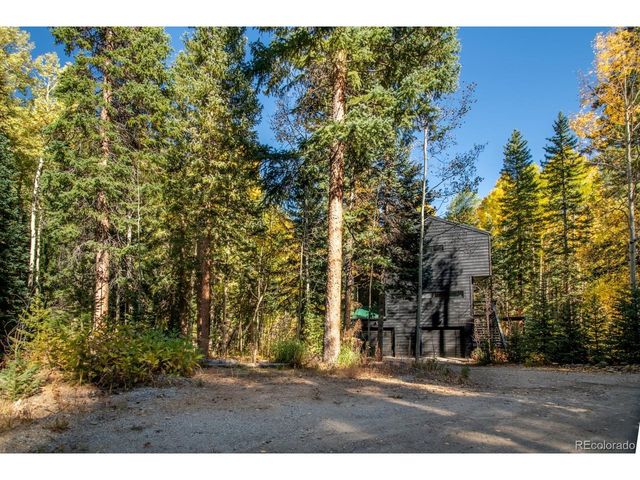 48 Moss Ln, Dumont, CO 80436