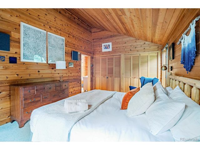 48 Moss Ln, Dumont, CO 80436
