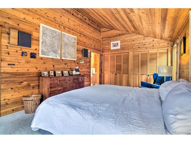 48 Moss Ln, Dumont, CO 80436