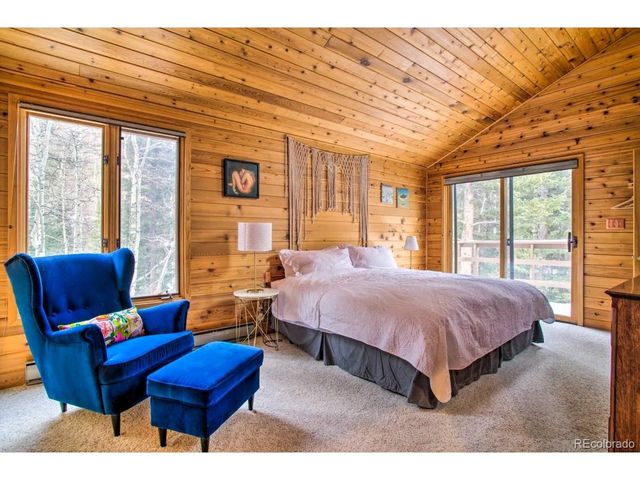 48 Moss Ln, Dumont, CO 80436