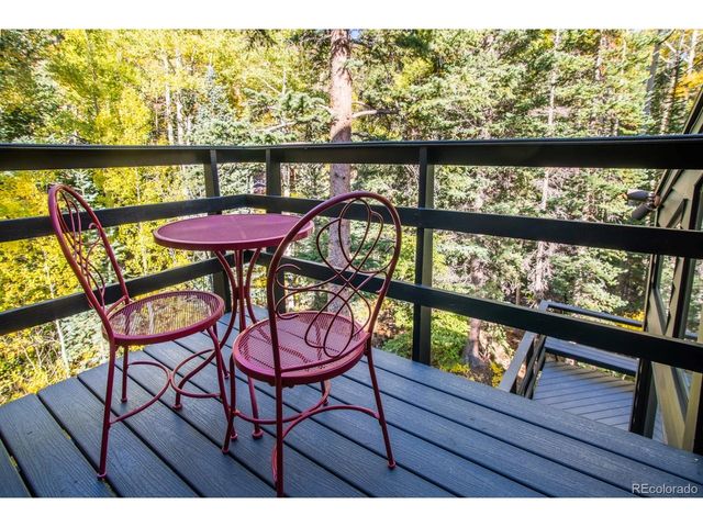 48 Moss Ln, Dumont, CO 80436