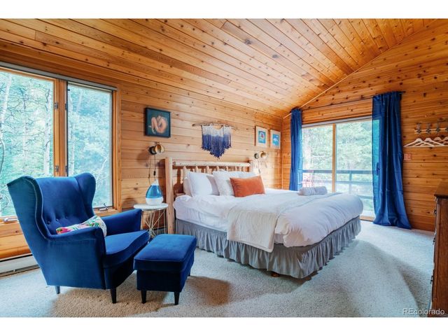 48 Moss Ln, Dumont, CO 80436