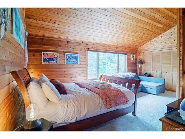 48 Moss Ln, Dumont, CO 80436