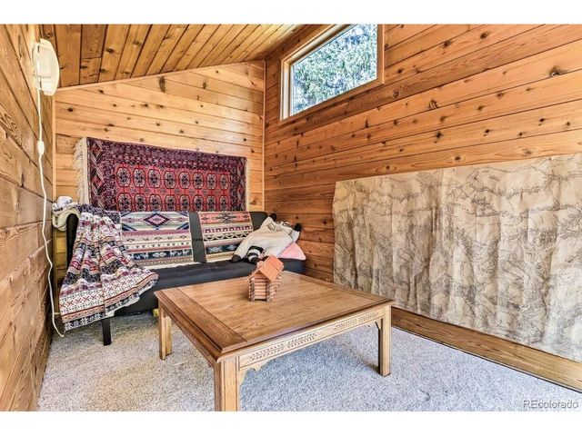48 Moss Ln, Dumont, CO 80436