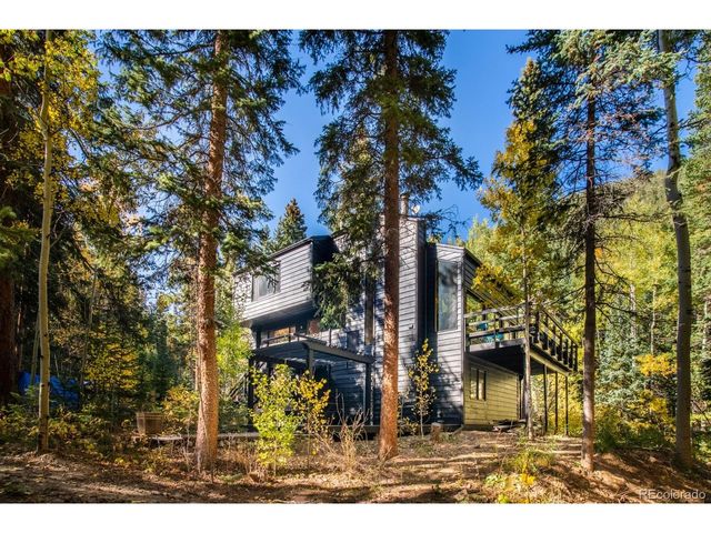 48 Moss Ln, Dumont, CO 80436