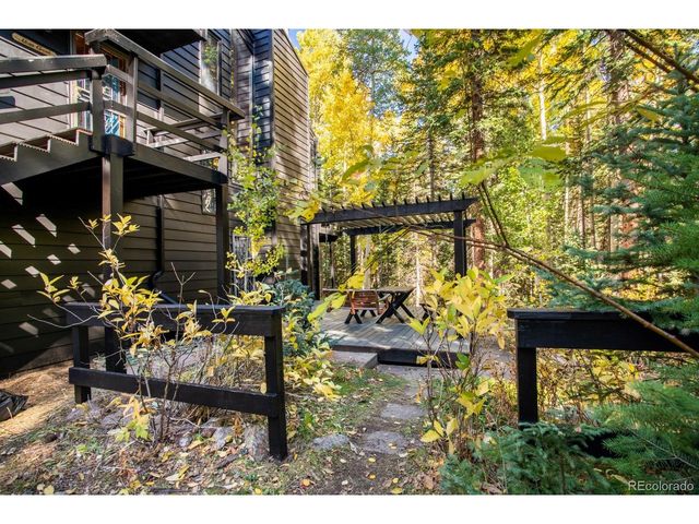 48 Moss Ln, Dumont, CO 80436
