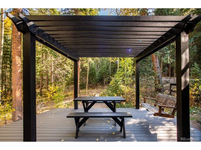 48 Moss Ln, Dumont, CO 80436