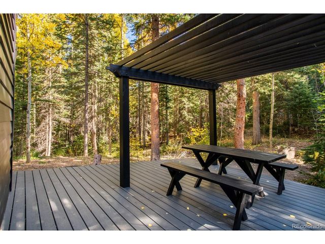 48 Moss Ln, Dumont, CO 80436