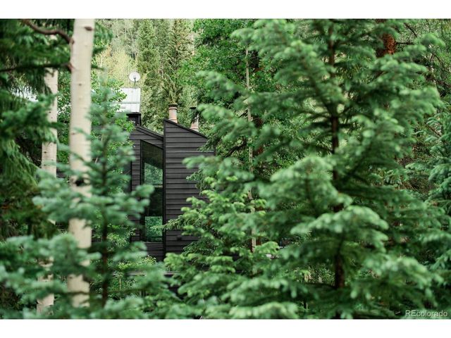 48 Moss Ln, Dumont, CO 80436