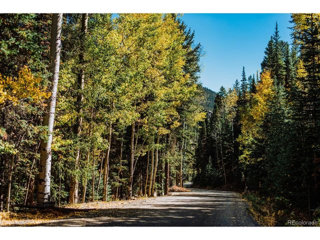 48 Moss Ln, Dumont, CO 80436